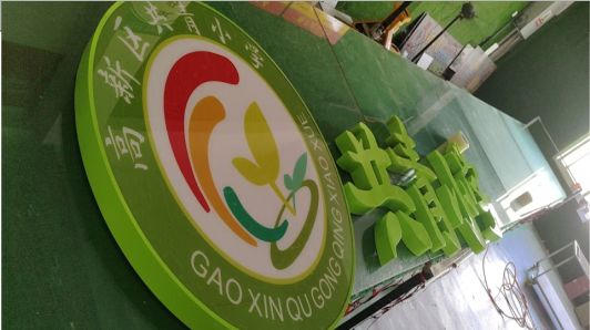 太湖常见的发光字类型